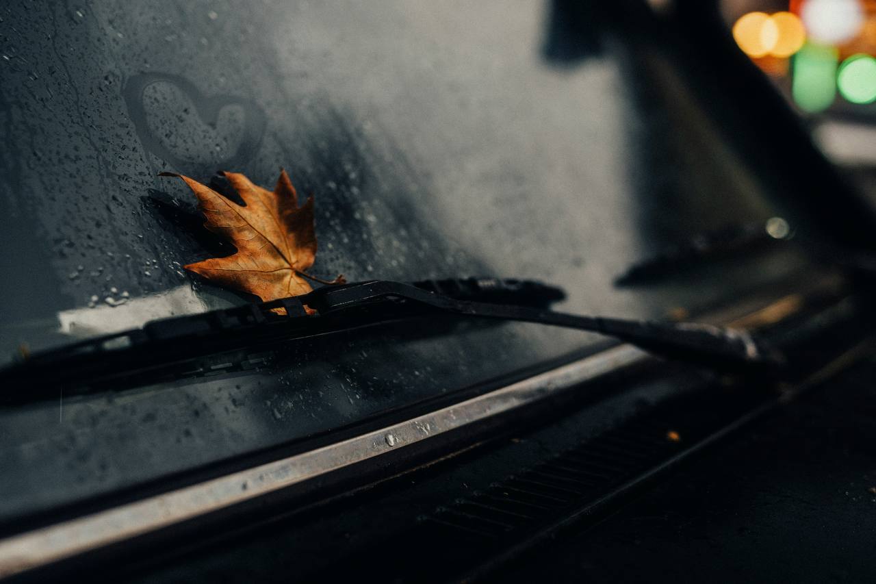 تصویر باکیفیت از پاییز تهران